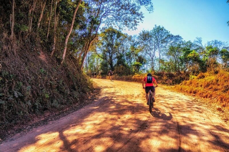 Bentota Guided Cycling Tour and Village Tour - Tour Highlights