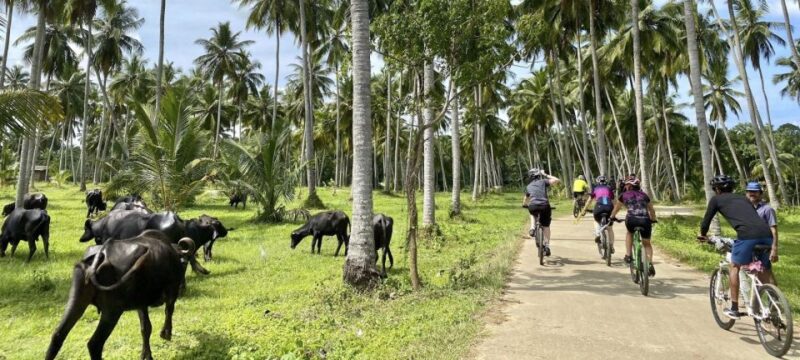 Bentota: Guided Cycling Tour With Refreshments - River Crossing on Local Ferry