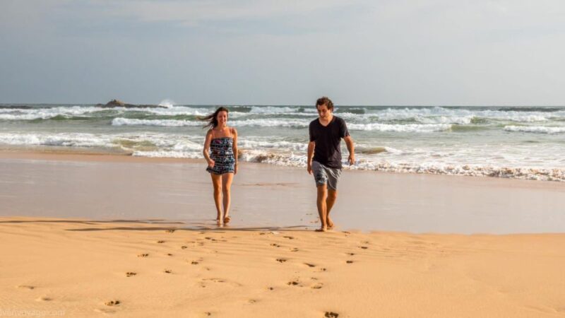 Bentota: Highlights Tour With Beach Day Trip From Colombo - Turtle Farm Experience