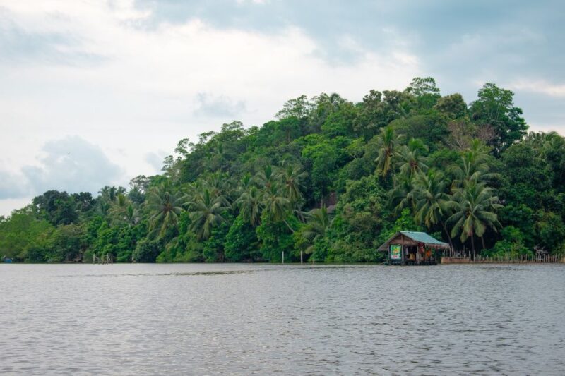 Bentota: Mangrove Lagoon and River Cruise - Booking Information
