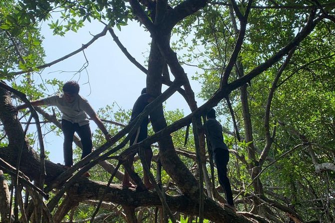 Bentota River Mangrove Forest Boat Trip (Private Tour)  - Kalutara - Booking Information and Policies