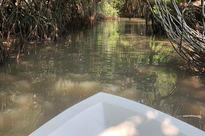 Bentota River Mangrove Forest Boat Trip (Private Tour)  - Kalutara - What to Expect During the Tour