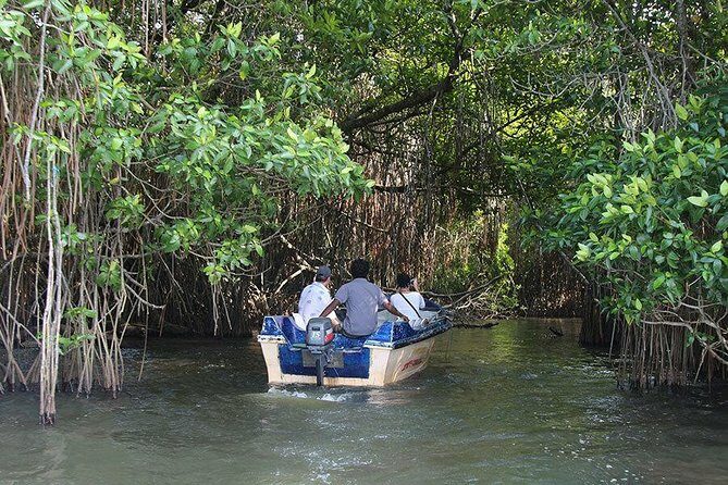 Bentota River Safari By BTM (Mangrove & Wildlife Encounter) - FAQ