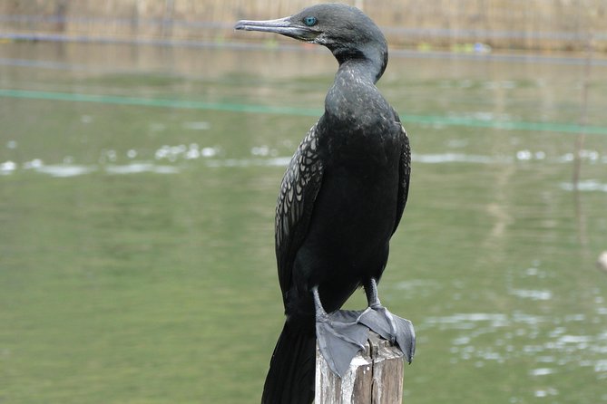 Bentota River Safari - Booking and Cancellation Policy