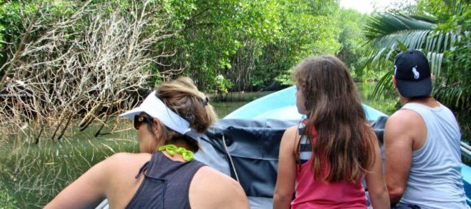 Bentota River Safari (Lagoon Boat Safari) - Recap