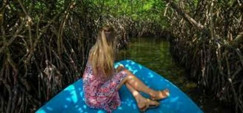 Bentota: River Safari with Hotel Pickup and Drop-Off - A Closer Look at the River Safari Experience
