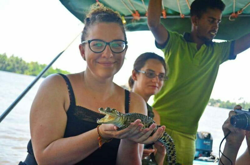 Bentota River Safari with Mangrove and Wildlife Encounter - An Honest Look at the Bentota River Safari Experience