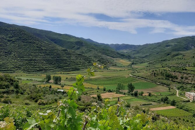 Berat 4x4 Off-Road and Vineyard Wine Tasting - Recap