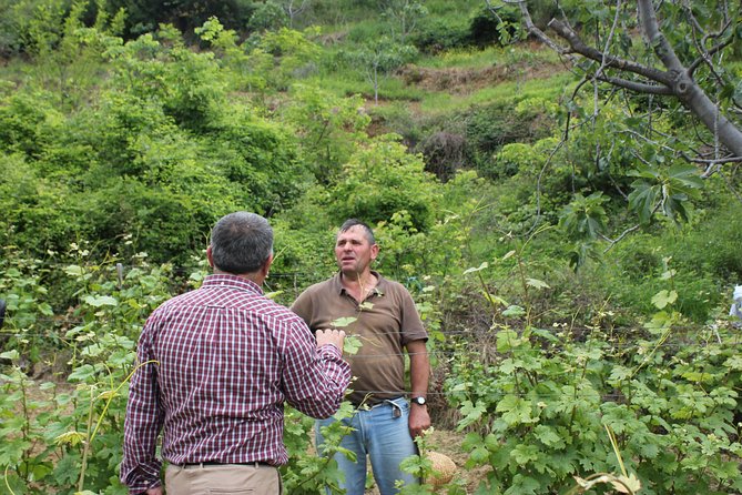 Berat Grand Wine Tasting & Food Tour - Activity Details