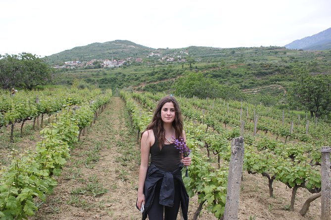 Berat Grand Wine Tasting & Food Tour - Winery Offerings