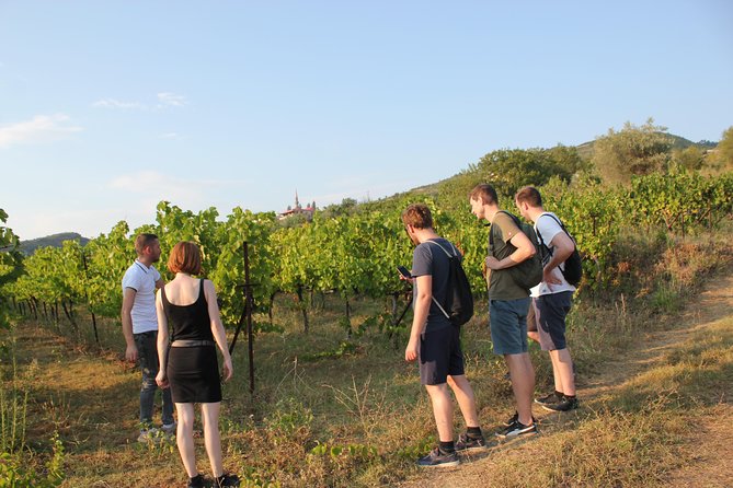 Berat Grand Wine Tasting Tour - Guest Reviews and Ratings