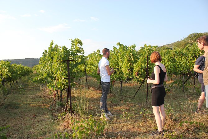 Berat Grand Wine Tasting Tour - Recap
