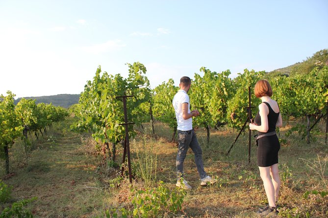 Berat Wine Tour Guided Winery Tour With Transfers and Tastings - Transportation Details