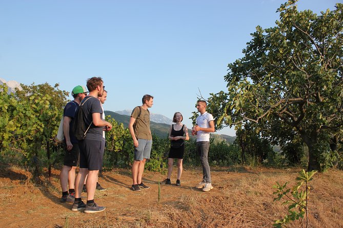 Berat Wine Tour Guided Winery Tour With Transfers and Tastings - Participation and Accessibility