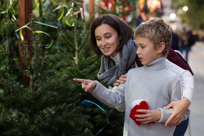 Berat's Christmas Magic: A Festive Walk - Key Points