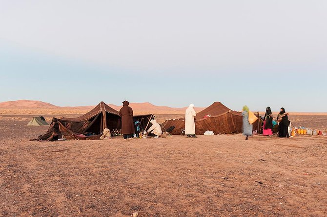 Berber Experience Private Sahara Desert Day Trip - Customer Feedback