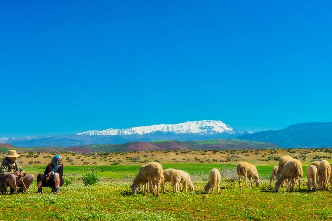 Berber Life Experience in the Atlas Mountains From Marrakech - Exploring Berber Villages
