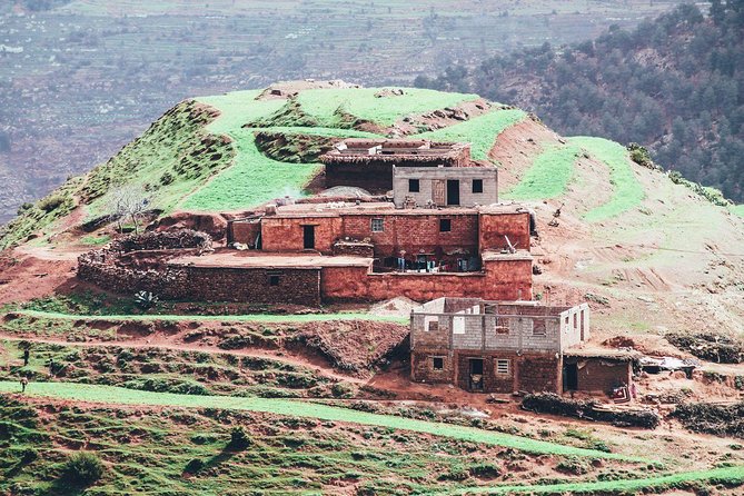 Berber Life Experience in the Atlas Mountains From Marrakech - Visiting the Argan Oil Cooperative