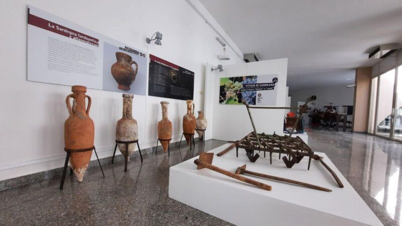 Berchidda: Visit to the Wine Museum With Wine Tasting - Multimedia Displays