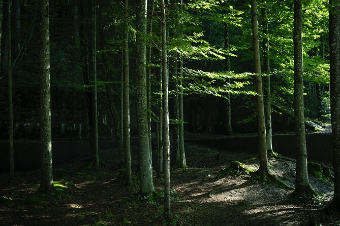 Berchtesgaden-Obersalzberg Private Half Day WWII Historical Tour - Tour Details