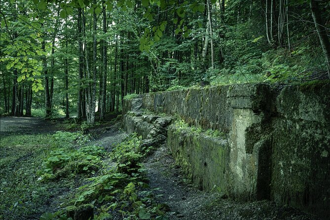 Berchtesgaden-Obersalzberg Private Half Day WWII Historical Tour - Guests Experiences