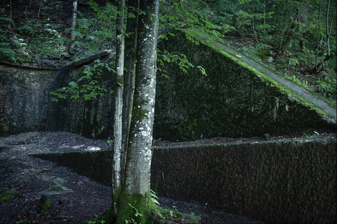 Berchtesgaden-Obersalzberg Private Half Day WWII Historical Tour - Engaging and Informative Tour Guide