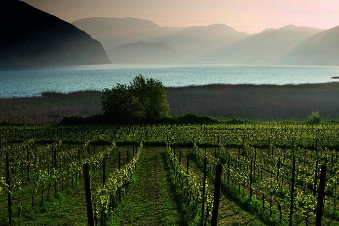 Bergamo and Franciacorta With Lunch and Cellar Visit - Franciacorta: Exploring the Wine Region