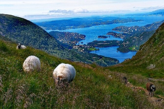 Bergen Classic Private Hiking - Physical Fitness Requirements