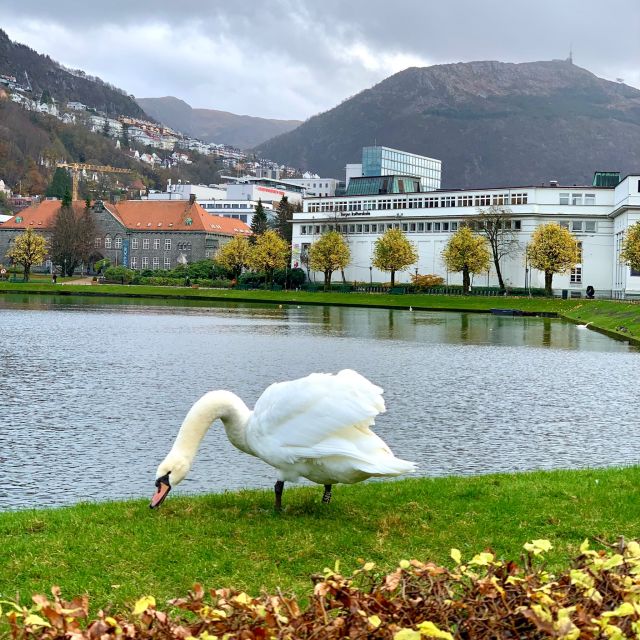 Bergen Discovery by Car - Duration and Scheduling