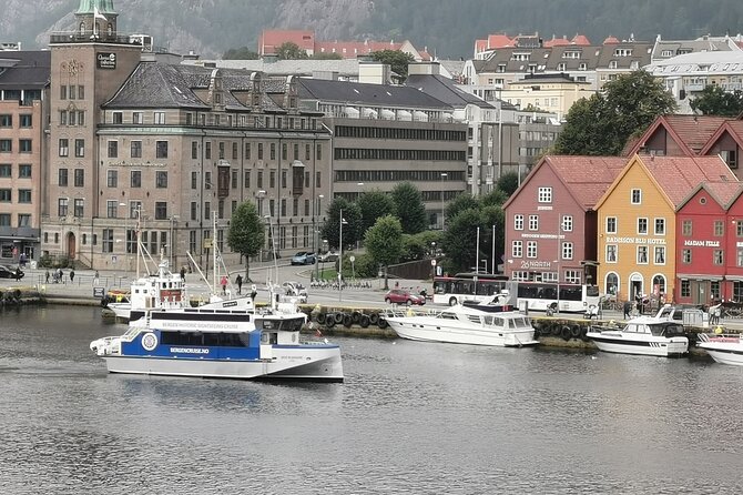 Bergen Fjord Cruise to Alversund Streams - All Year - Reviews and Feedback From Travelers