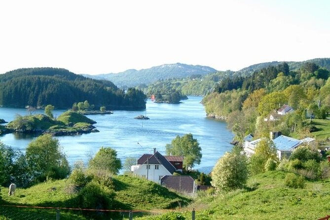 Bergen Fjord Cruise to Alversund Streams - All Year - Capacity and Cruise Experience