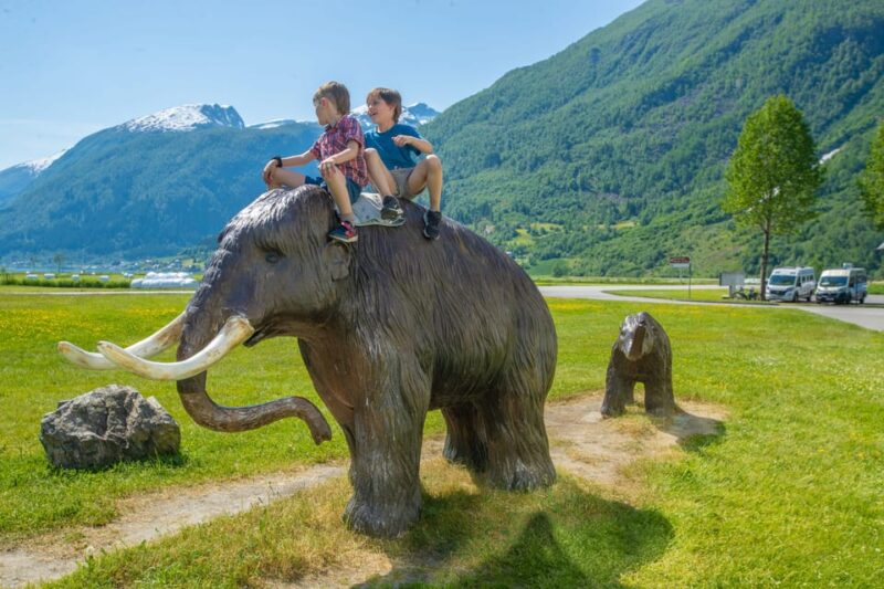 Bergen: Fjord Cruise to Sognefjord and Bøyabreen Glacier - Included Features