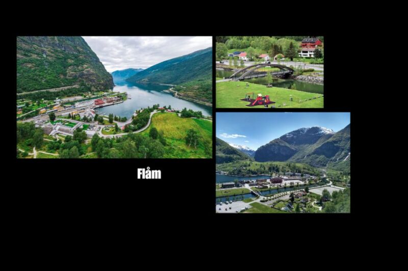 Bergen: Flåm, Stegastein, and Viking Village Private Trip - Participant Information