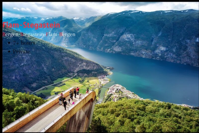 Bergen: Flåm, Stegastein, and Viking Village Private Trip - Customer Feedback