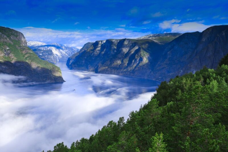 Bergen: Guided Day Tour, Nærøyfjord Cruise and Flåm Railway - Itinerary Details