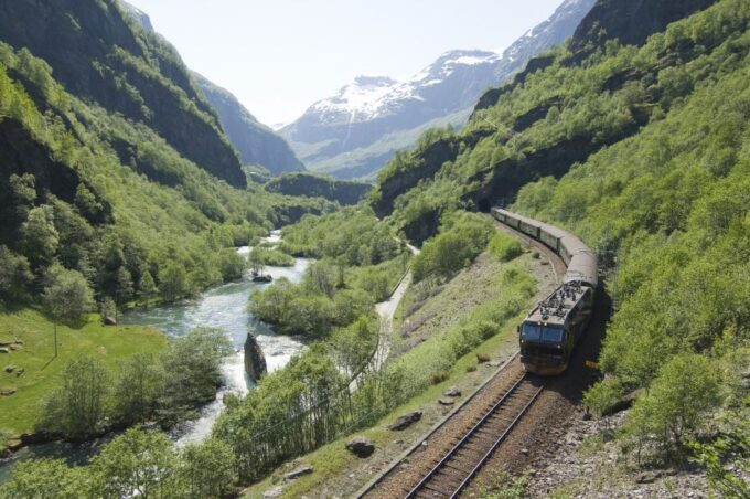 Bergen: Guided Day Tour, Nærøyfjord Cruise and Flåm Railway - Customer Ratings and Feedback