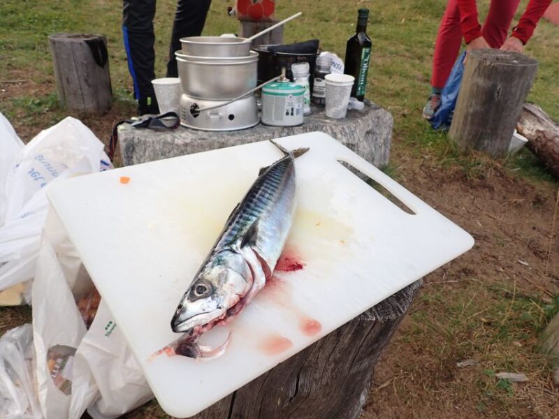 Bergen: Guided Fishing Tour With Outdoor Cooking - Customer Feedback