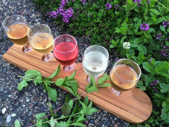 Bergen: Guided Fjord & Cidery Tour to Balestrand - Accessibility and Cancellation