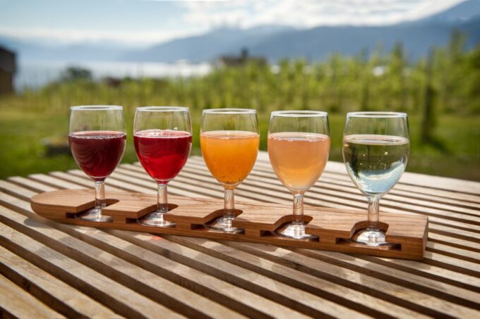 Bergen: Guided Fjord & Cidery Tour to Balestrand - Contact and Booking Information