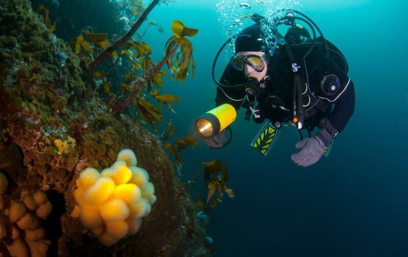 Bergen: Guided Scuba Diving - Itinerary Details