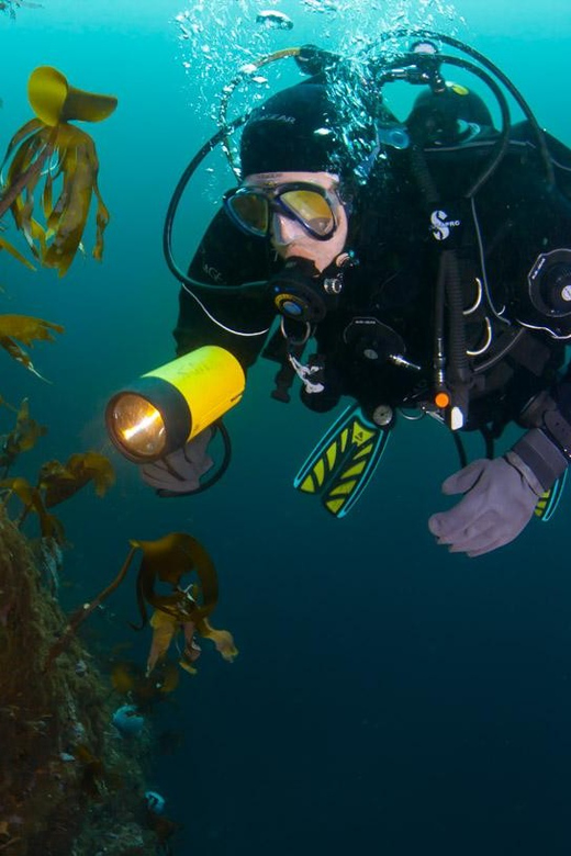 Bergen: Guided Scuba Diving - Marine Life and Landscapes