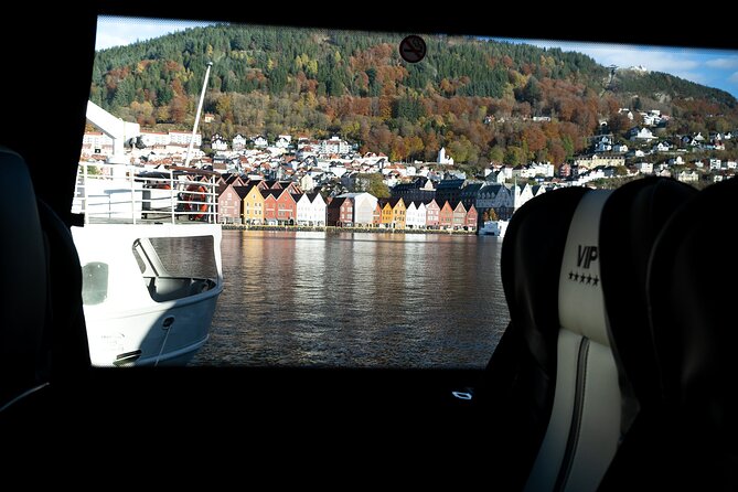 Bergen: Guided Tour by Minibus With Local Guide & Photostops - Tour Experience Highlights