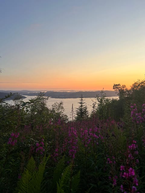 BERGEN I Fløyen Activo - Magical Nature - Hiking Tour - Experience Highlights