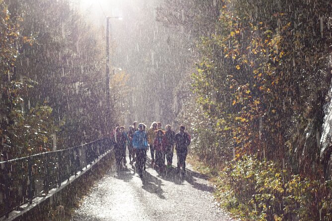 Bergen Like a Local: Customized Private Tour - Authentic Local Insights