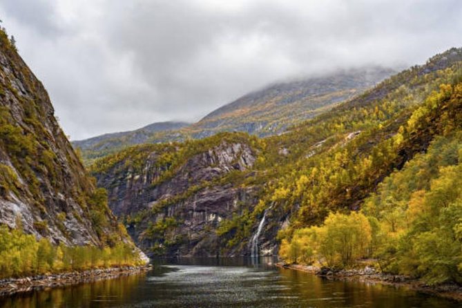 Bergen: Mostraumen Fjord Cruise - Pricing and Cancellation Policy