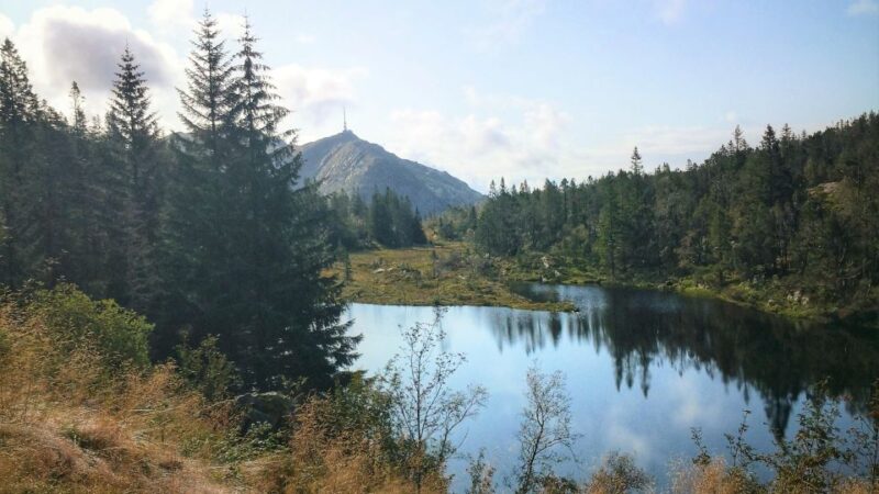 Bergen: Mountain Hike on Top of Bergen - Public Tour - Hiking Experience