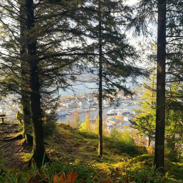 Bergen: Mountain Hike on Top of Bergen - Public Tour - Preparation and Recommendations