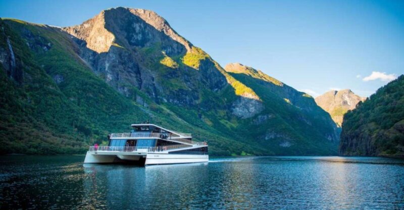 Bergen: Nærøyfjord Cruise and Flåm Railway to Oslo - Key Points
