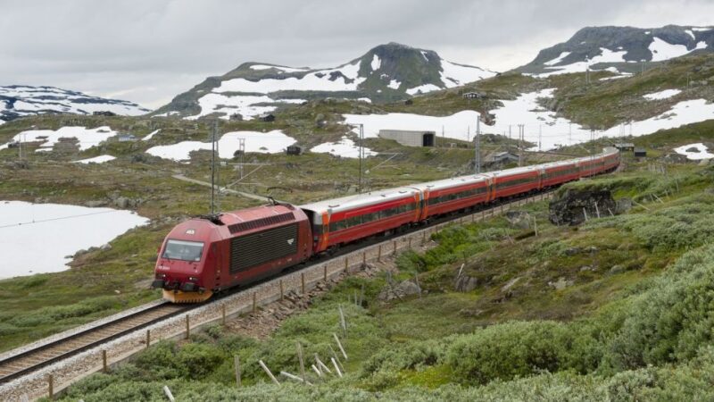 Bergen: Nærøyfjord Cruise and Flåm Railway to Oslo - Included Services