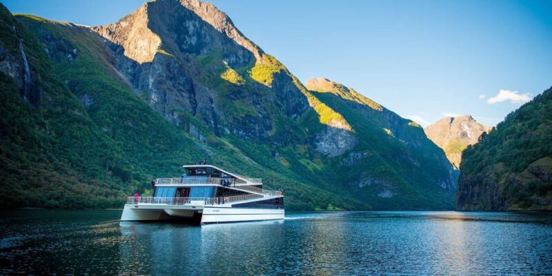 Bergen: Nærøyfjord, Flåm, and Stegastein Guided Bus Tour - Key Points